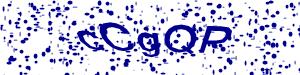 Captcha-Code